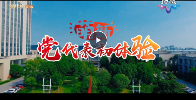 【扬帆视频】党代表日记 | 陆兴②：“萌新”党代表初体验