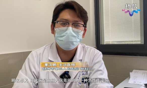被猫狗抓伤、咬伤了，怎么办？【天天健康】